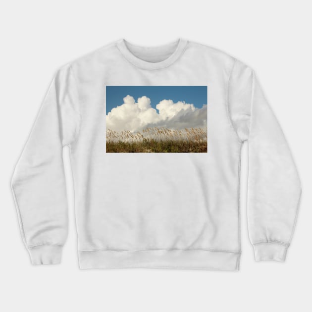 Clouds Over Beach Weeds Crewneck Sweatshirt by Cynthia48